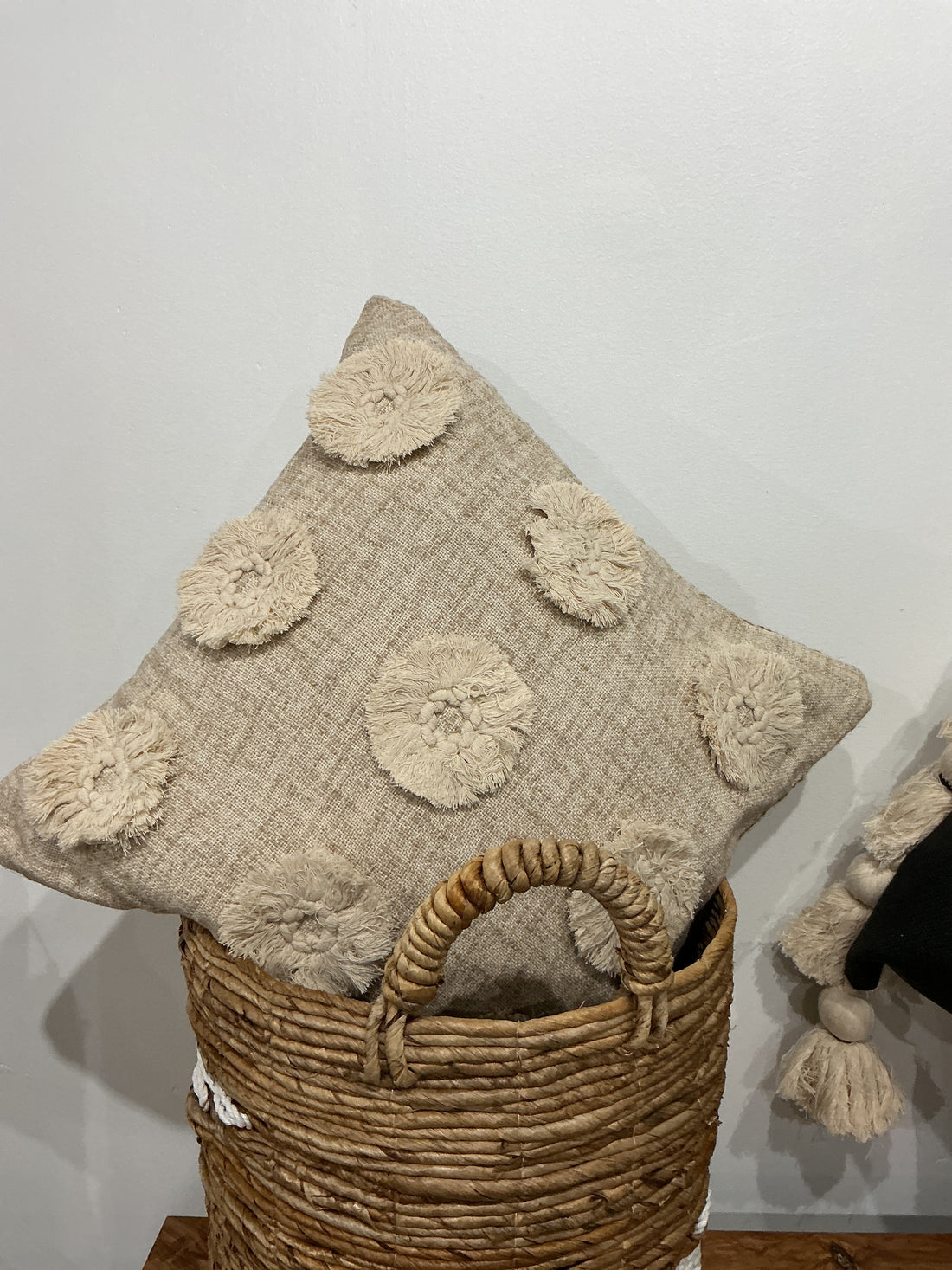 Fringe trim circle pillow