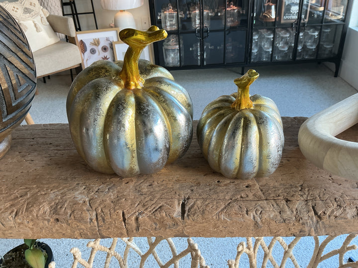 Decorative Pumpins Set of 2