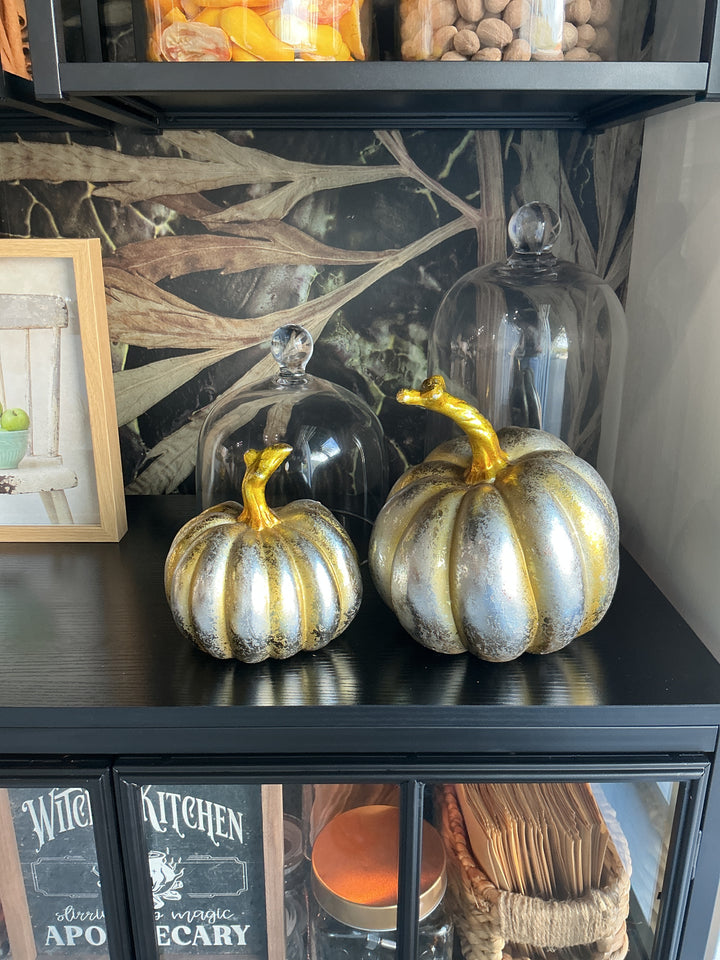 Decorative Pumpins Set of 2